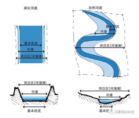 河道 意思